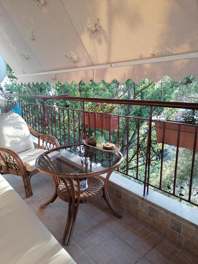 Elite Home بوليكاسترون المظهر الخارجي الصورة